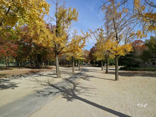 千種公園の写真