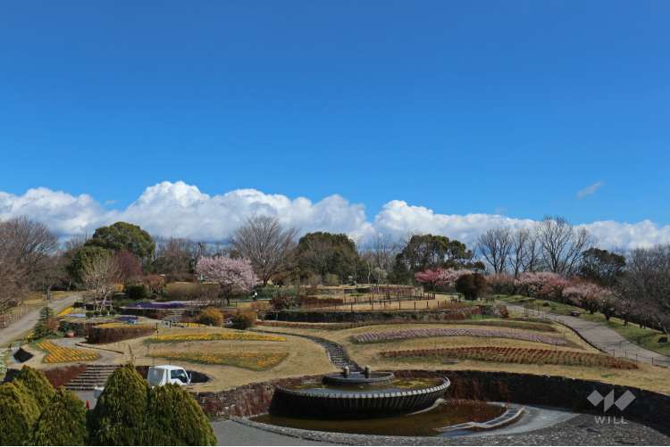東山公園の写真