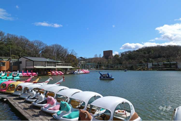東山公園の写真