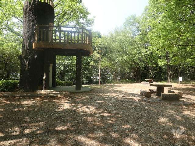 茶屋ヶ坂公園の写真