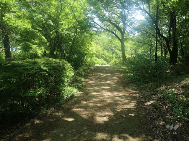 茶屋ヶ坂公園の写真