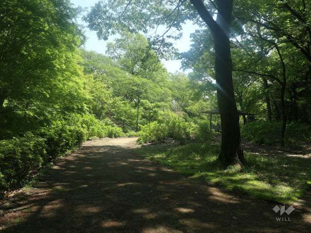 茶屋ヶ坂公園の写真