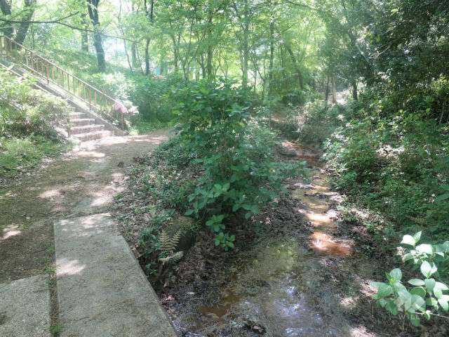 茶屋ヶ坂公園の写真