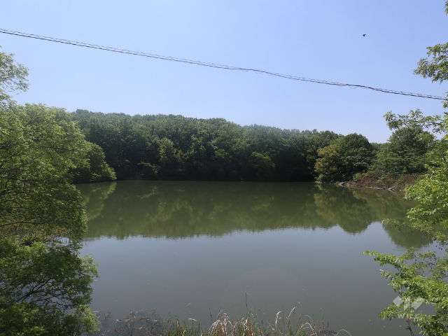 茶屋ヶ坂公園の写真