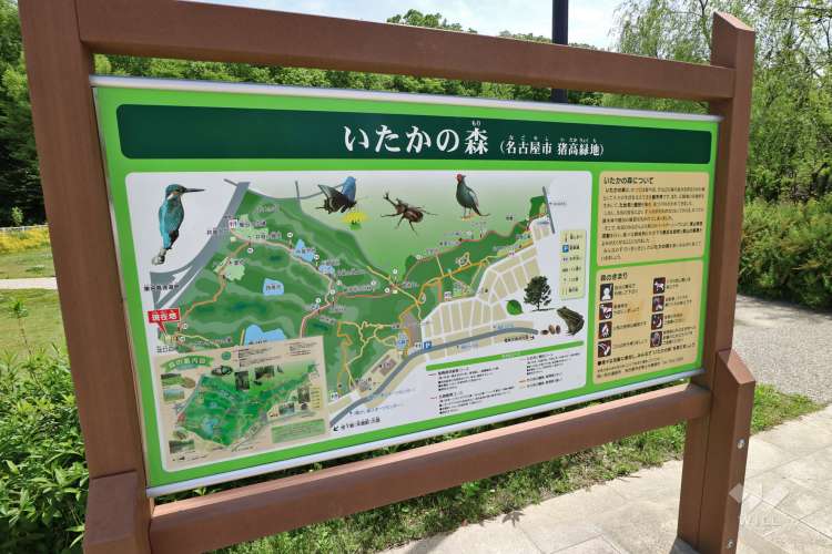 猪高緑地の写真