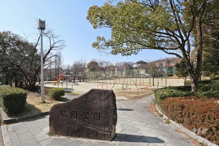 植園公園の写真