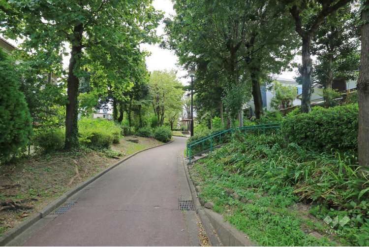 すいどうみち緑道の写真