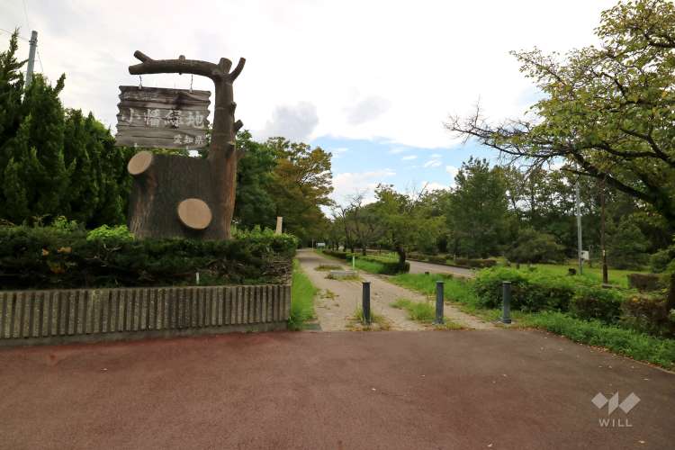 小幡緑地（本園・中央園）の写真