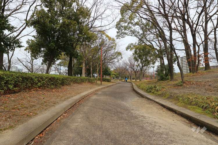 神宮東公園の写真