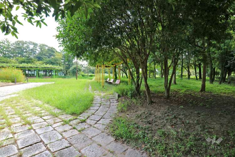 雨池公園と壇ノ浦公園の写真