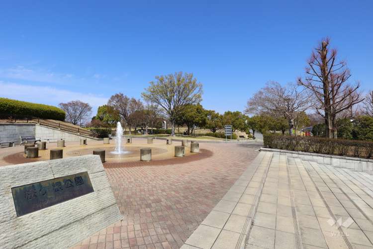 桧ヶ根公園の写真