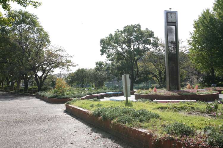 弥富公園の写真