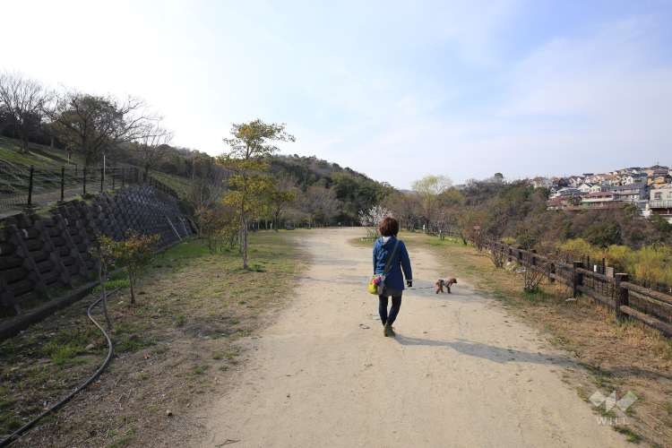 仁川百合野町地すべり資料館の写真