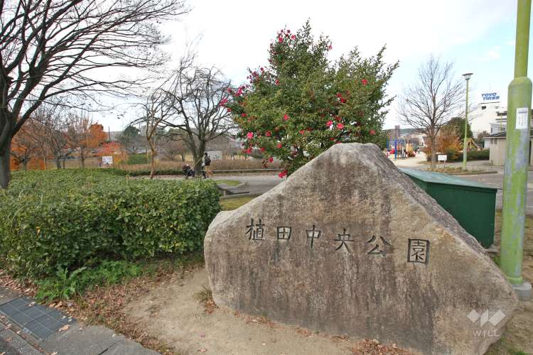 植田中央公園の写真