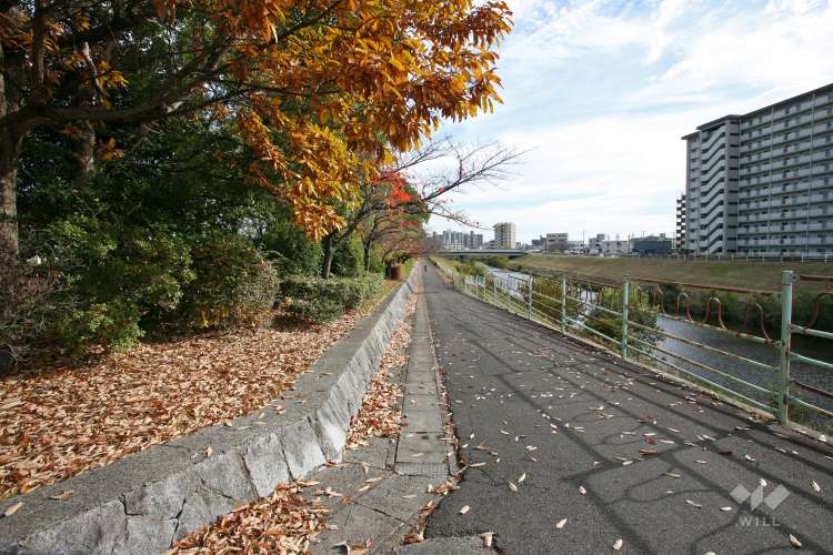 天白川であい公園の写真