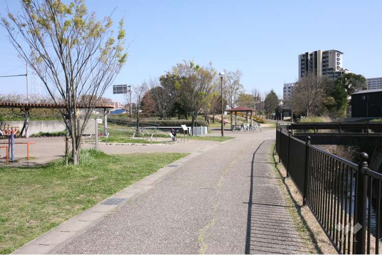 上納池スポーツ公園の写真
