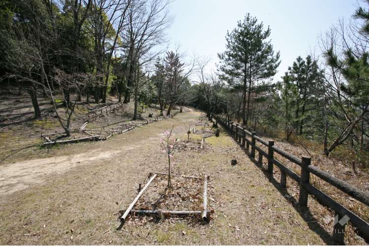 乗鞍公園の写真