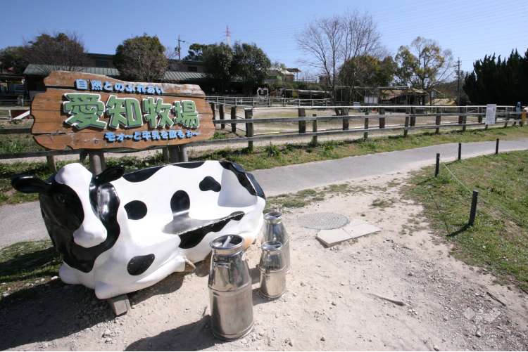 愛知牧場の写真