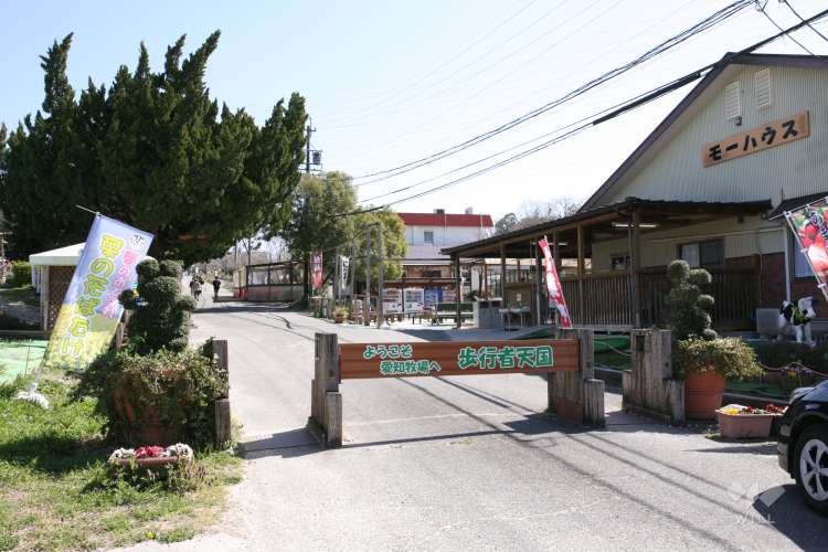 愛知牧場の写真