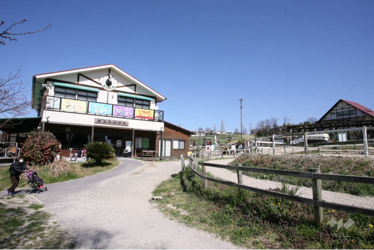 愛知牧場の写真