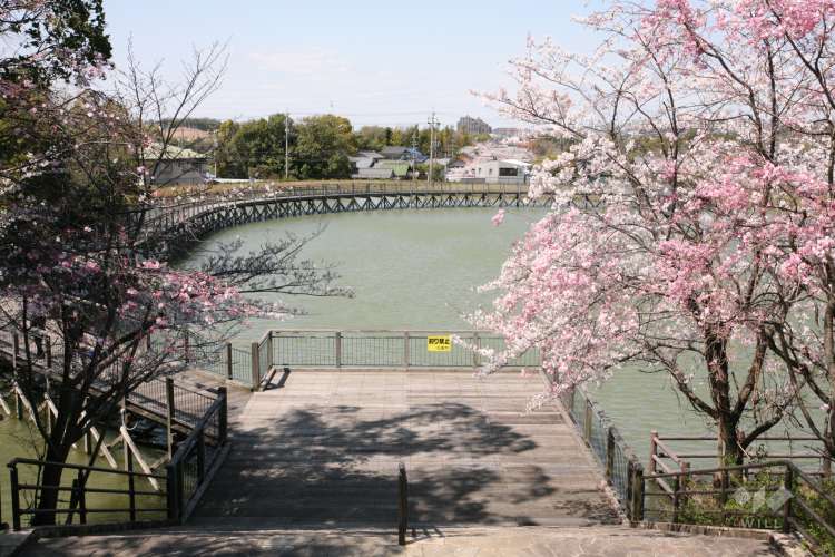 野方三ツ池公園の写真