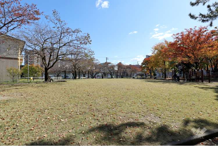 露橋公園と露橋スポーツセンターの写真