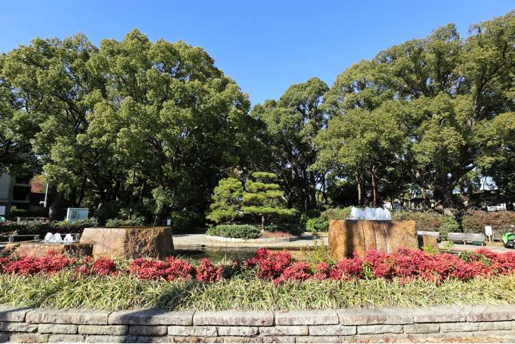 松葉公園の写真