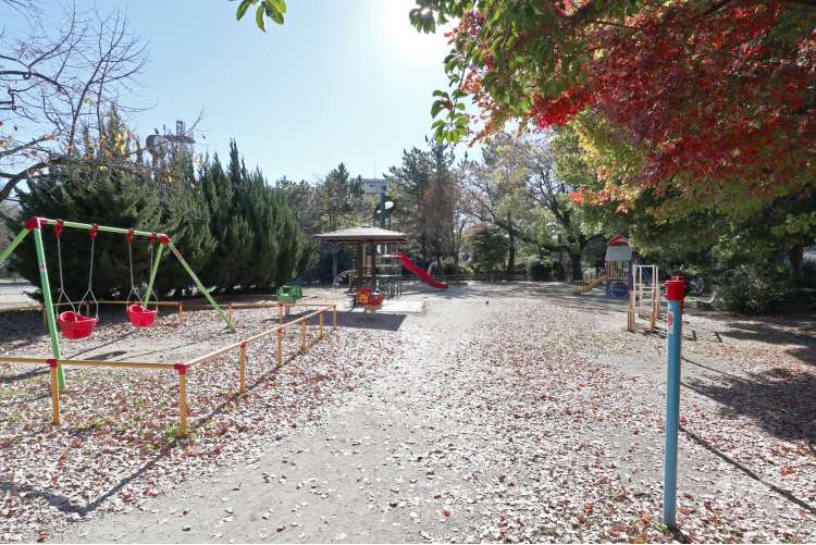 松葉公園の写真