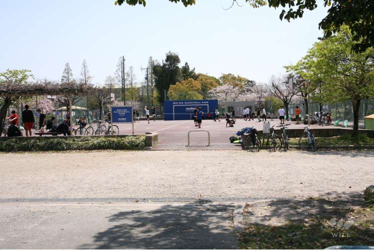 道徳公園の写真