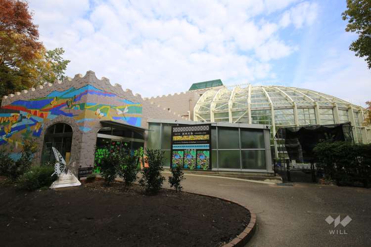 伊丹昆虫館の写真