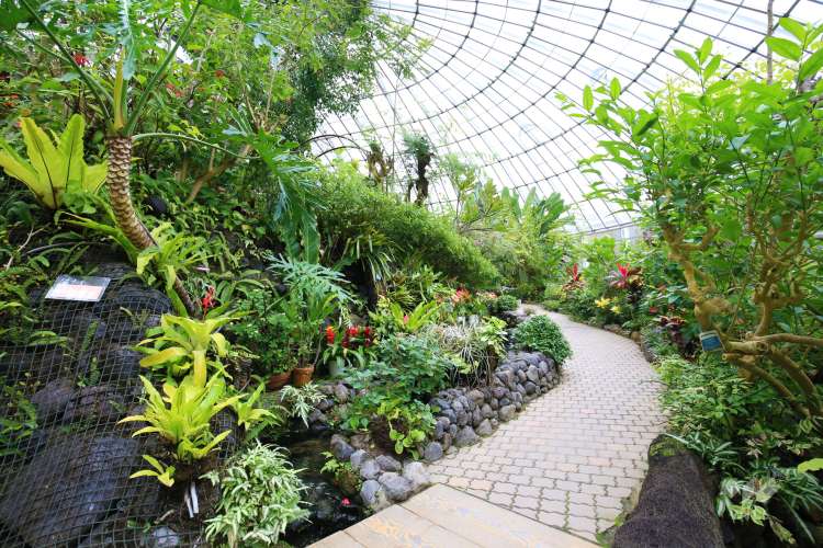 伊丹昆虫館の写真