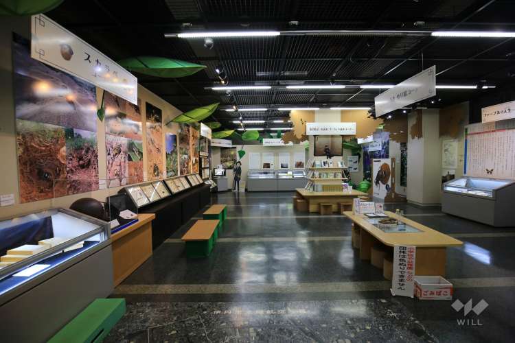 伊丹昆虫館の写真