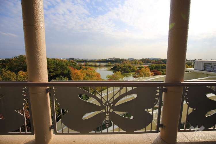 伊丹昆虫館の写真