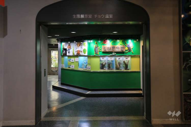 伊丹昆虫館の写真