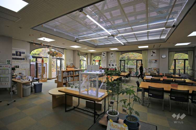 伊丹昆虫館の写真