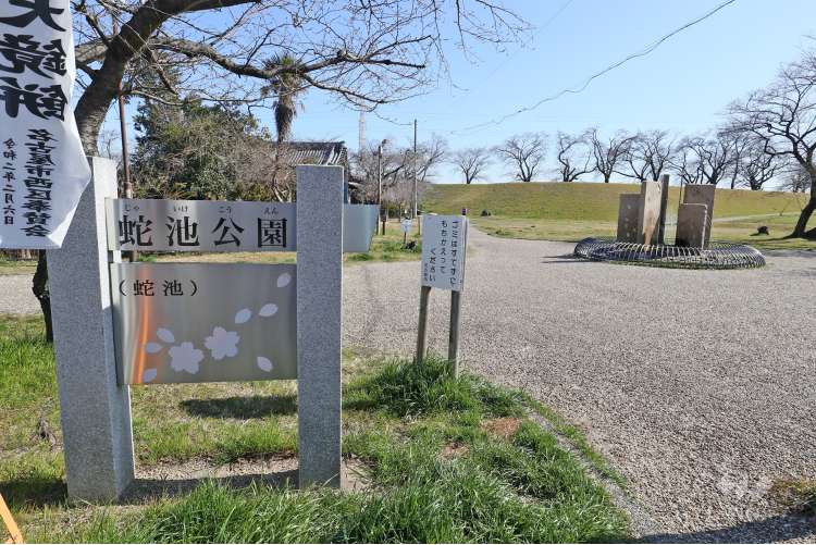 蛇池公園の写真