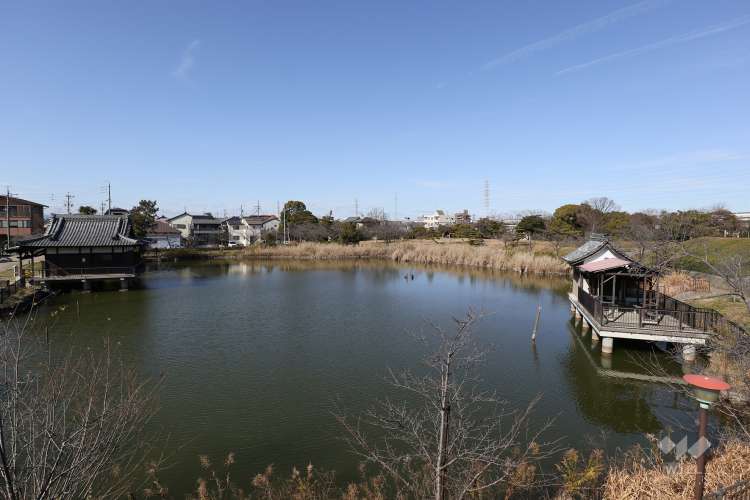蛇池公園の写真