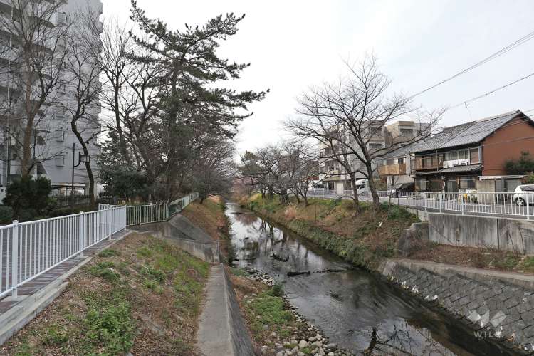 御用水跡街園と黒川樋門の写真