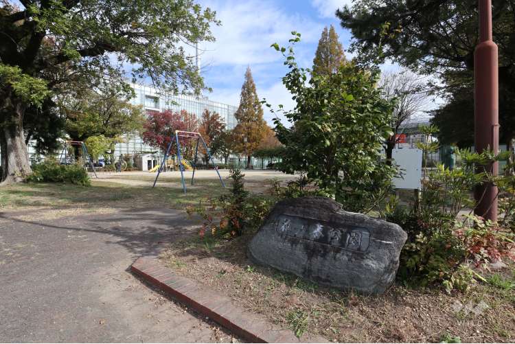 花ノ木公園の写真