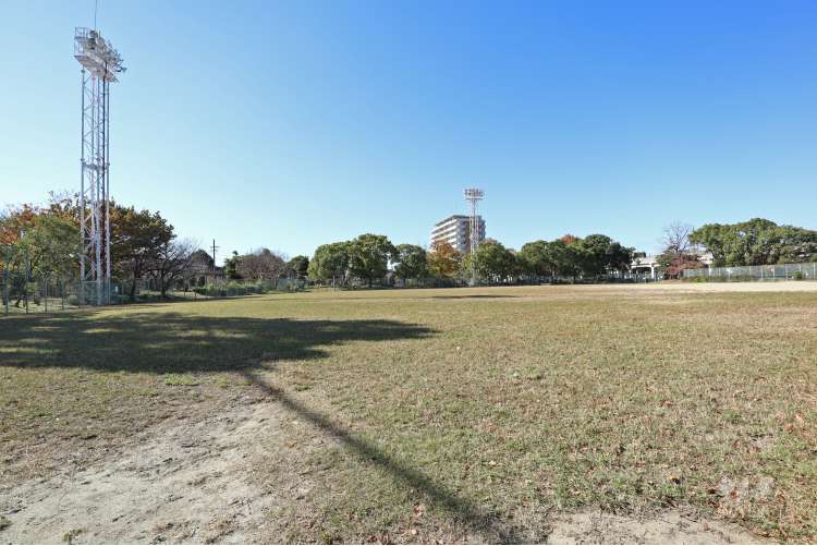 野田公園の写真