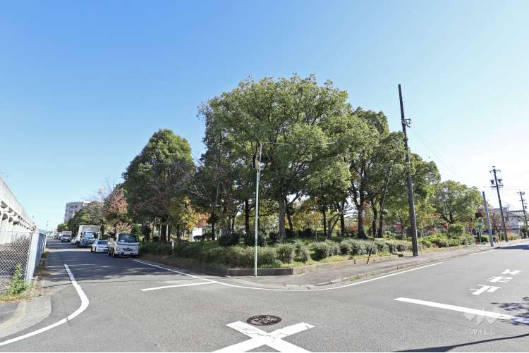 野田公園の写真