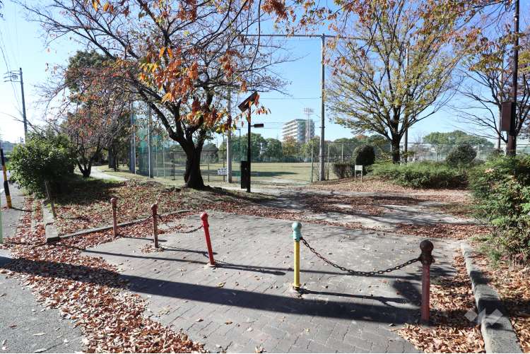 野田公園の写真