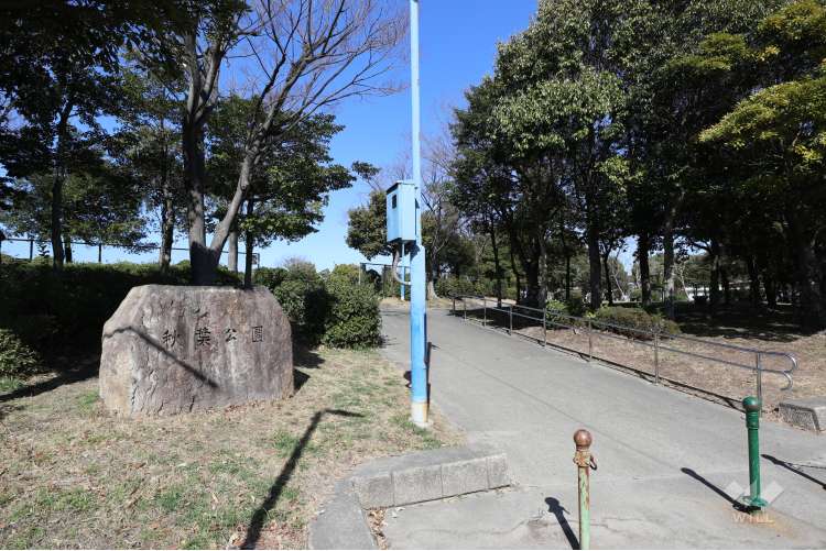 秋葉公園の写真