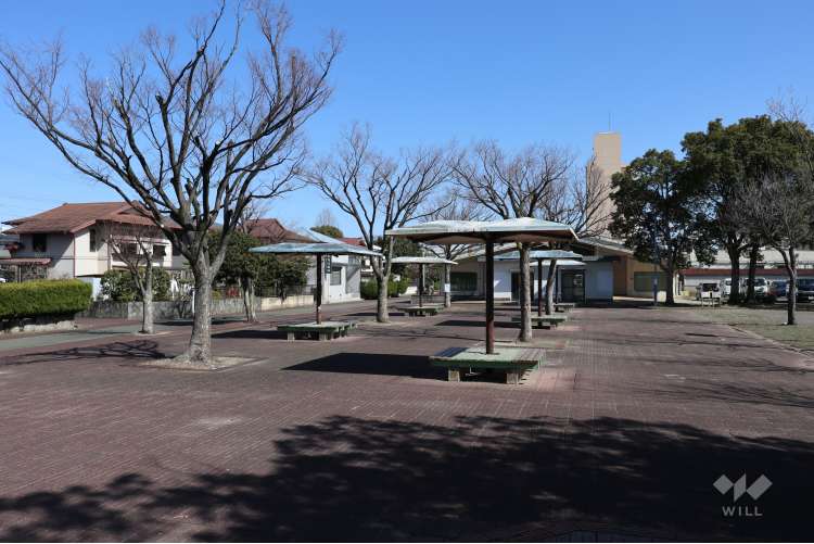 秋葉公園の写真