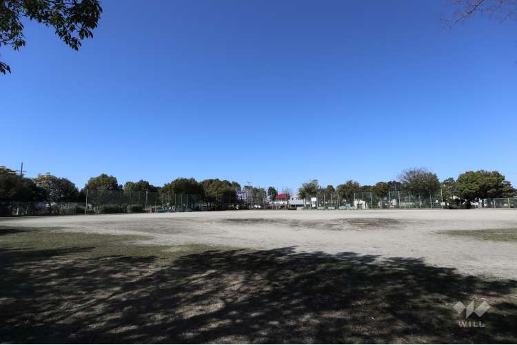 秋葉公園の写真