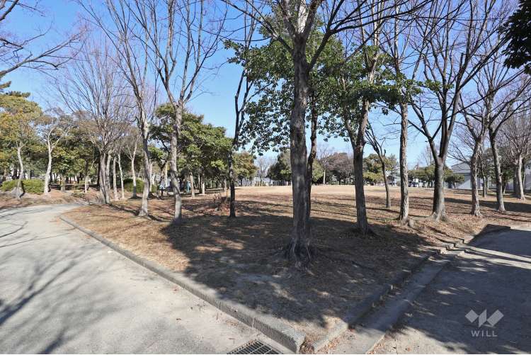 小碓中央公園の写真
