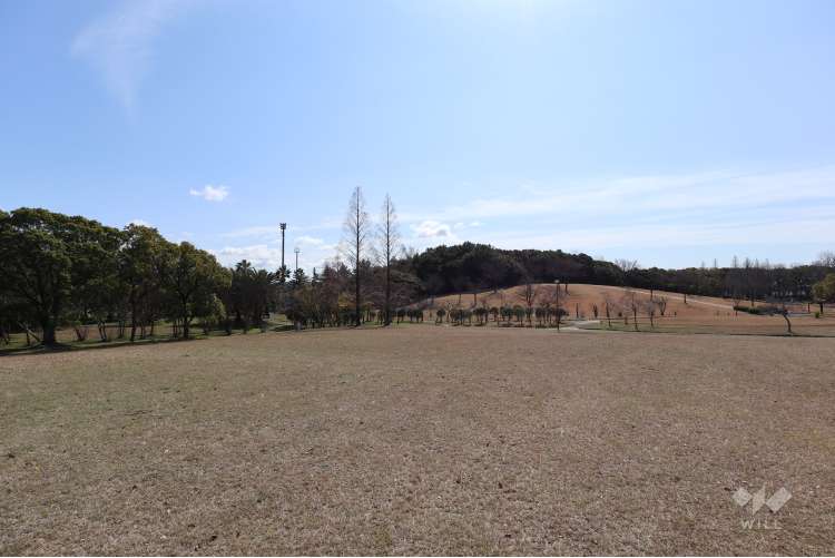 稲永東公園の写真