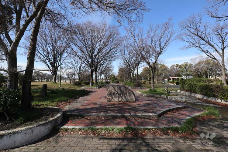 宝神中央公園の写真