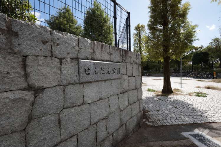 せんだん公園の写真