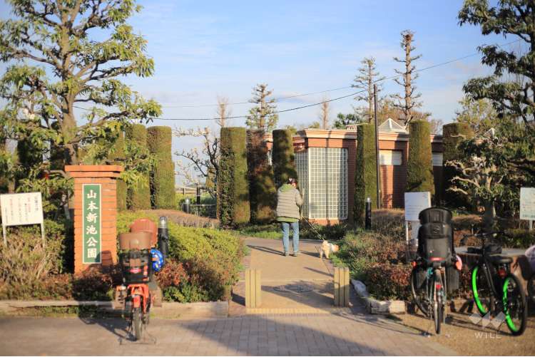 新池公園の写真